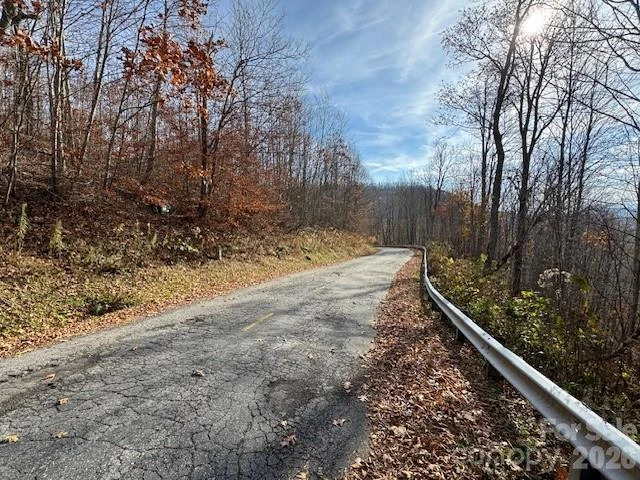 50 Scenic Wolf Ridge Road - Photo 11