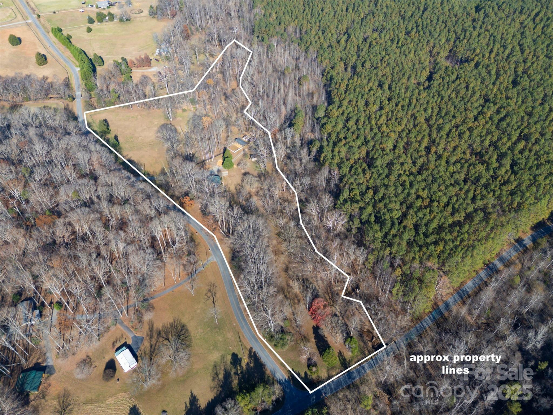 1905 Mcentire Road - Photo 2
