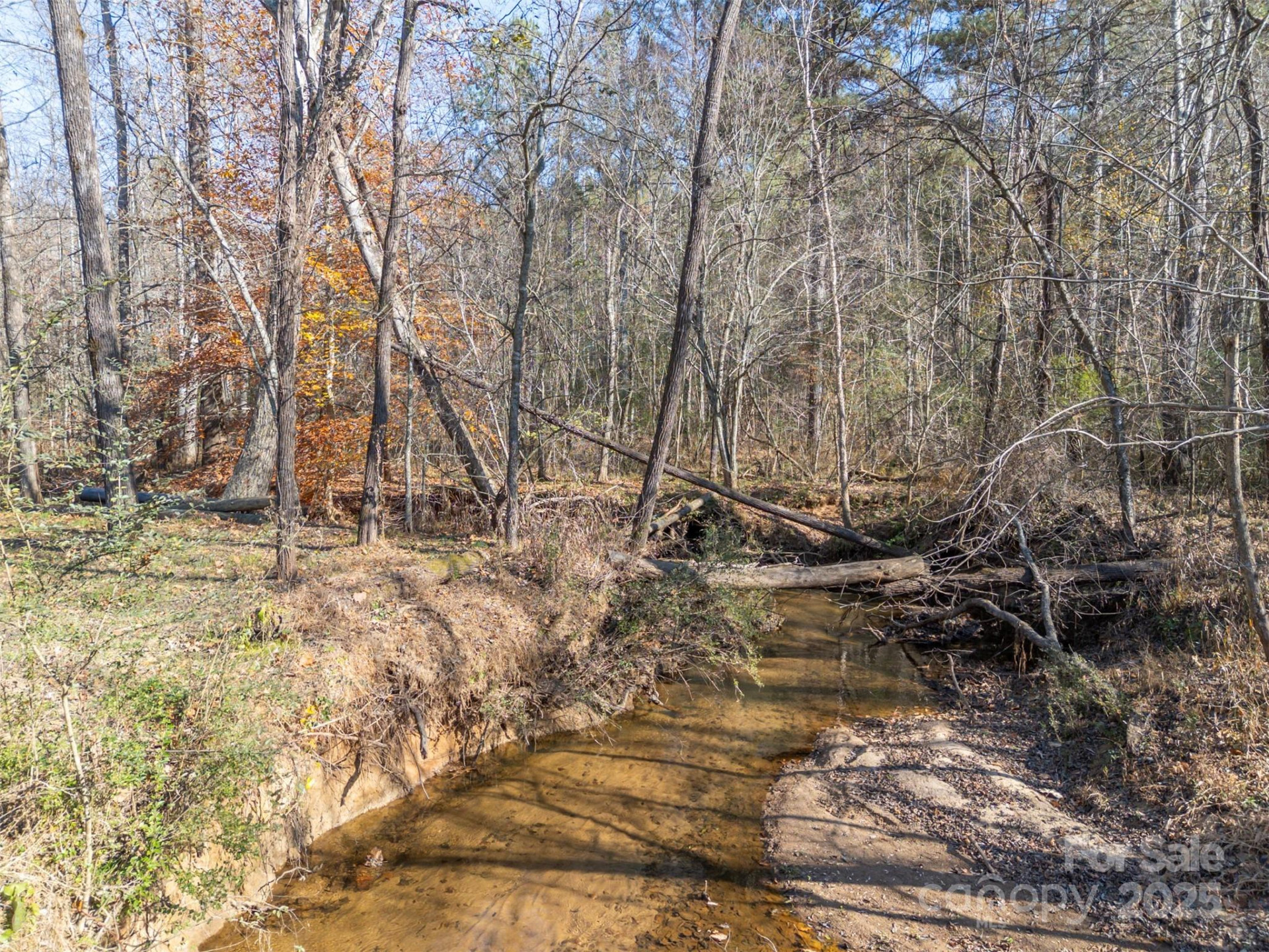 1905 Mcentire Road - Photo 3