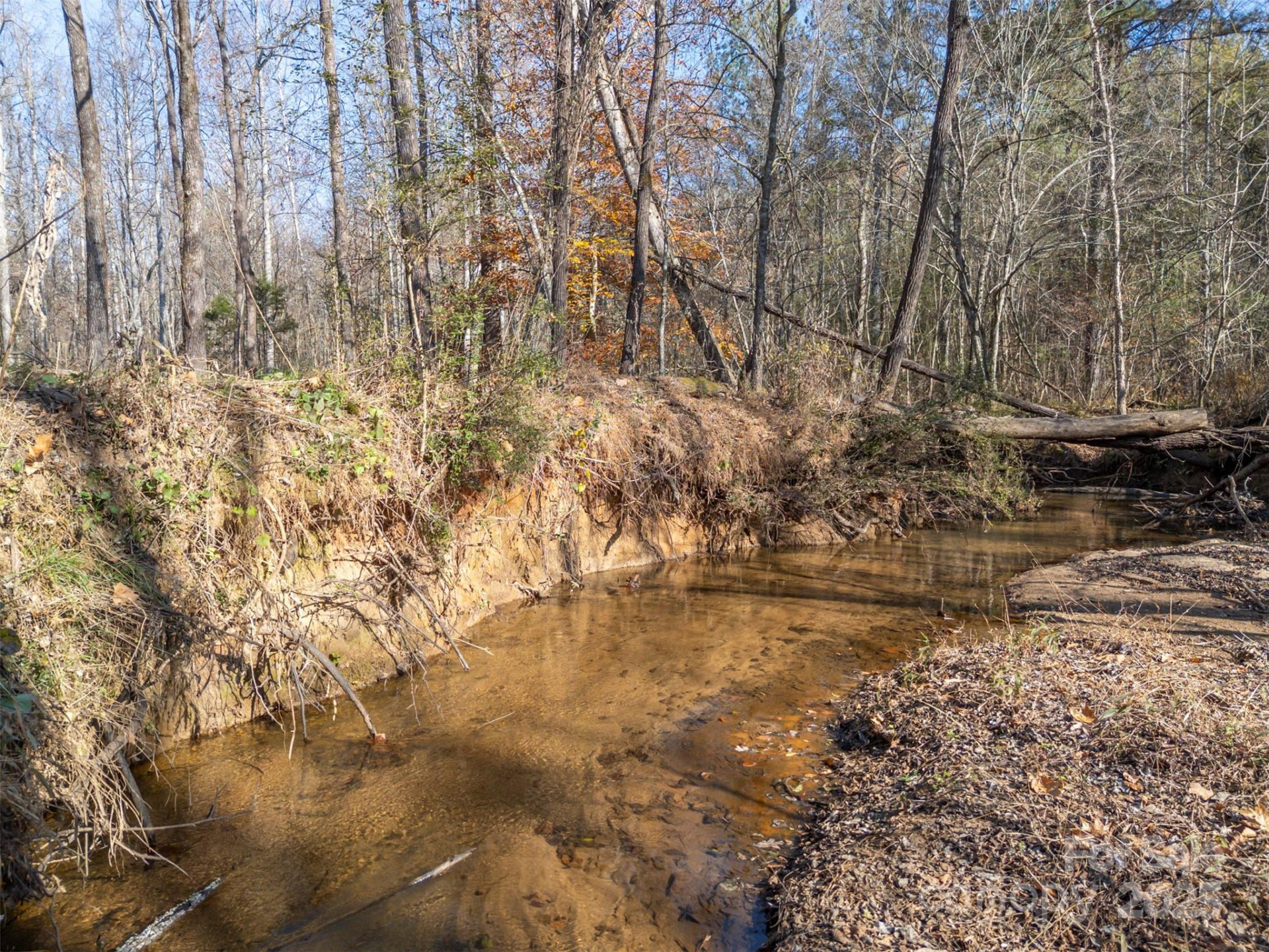 1905 Mcentire Road - Photo 35