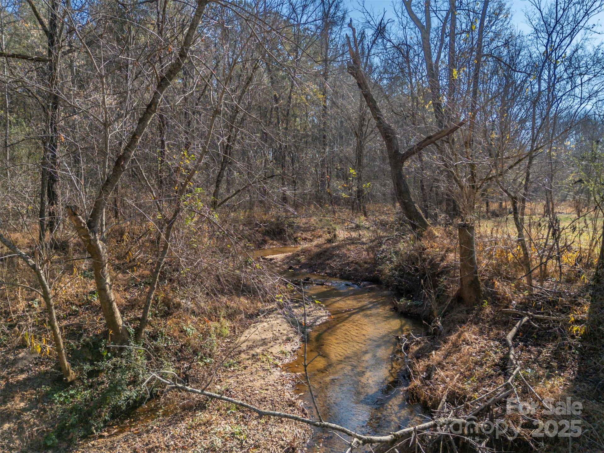 1905 Mcentire Road - Photo 36
