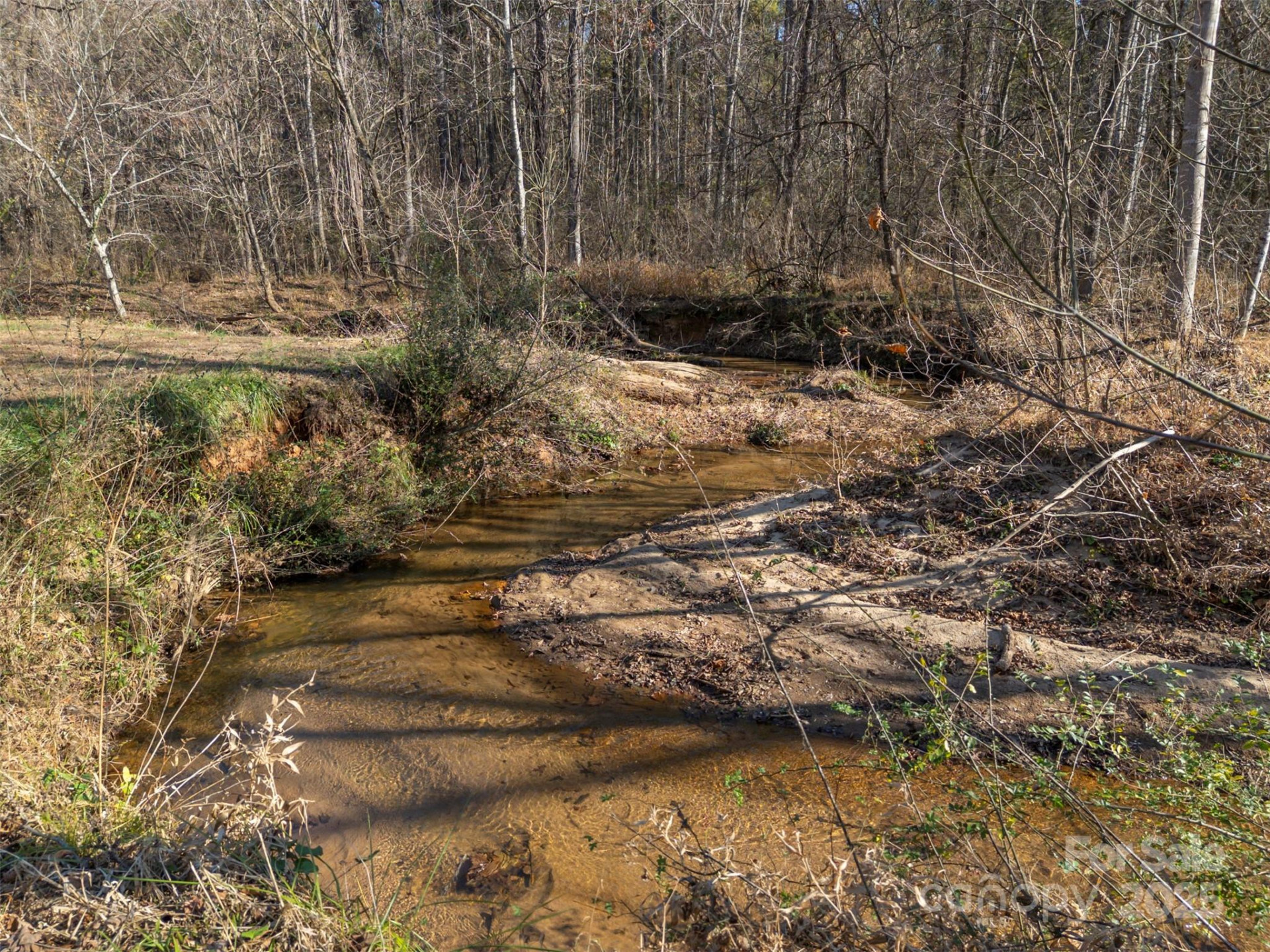 1905 Mcentire Road - Photo 39
