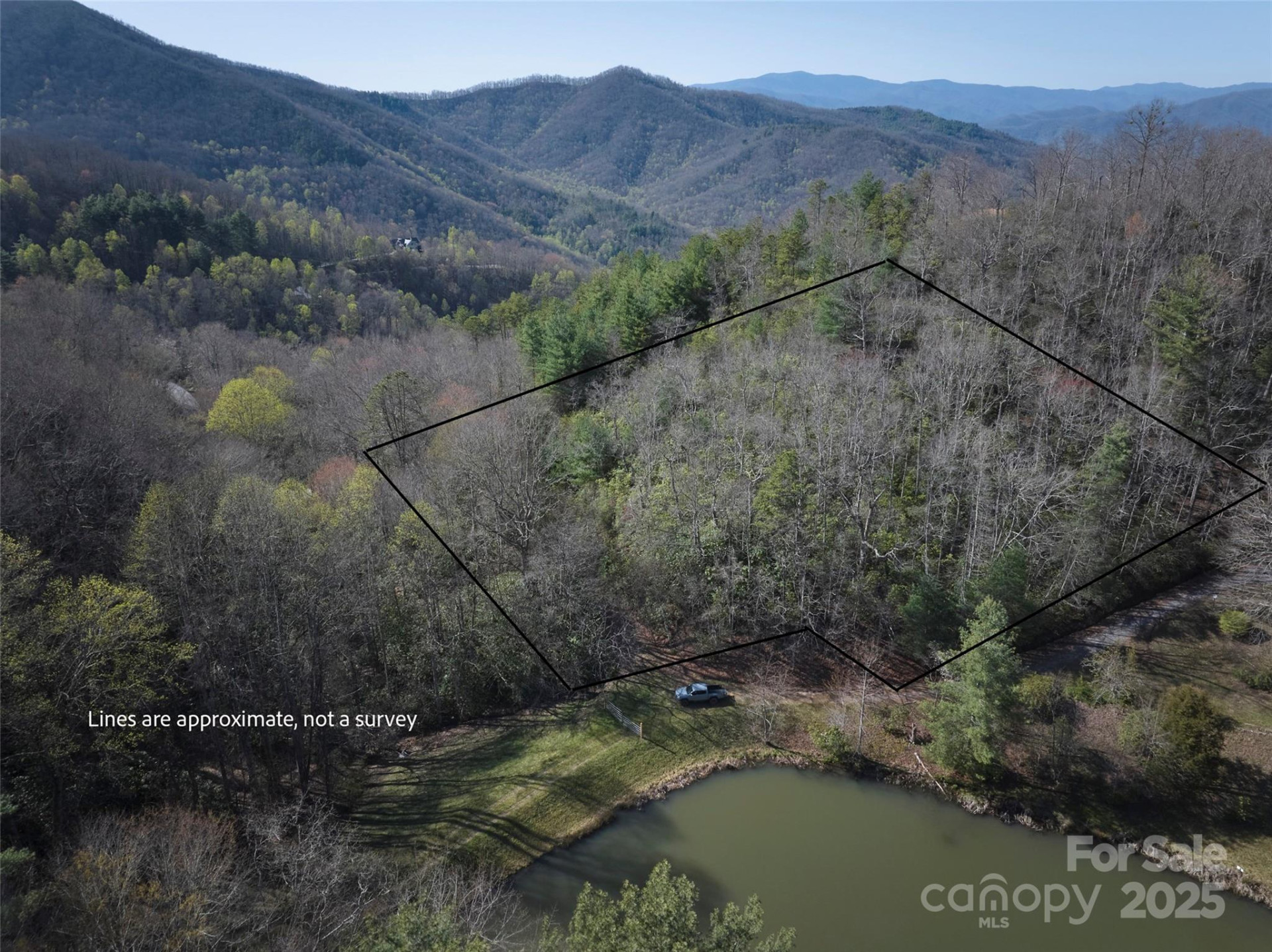 0 Conley Mountain Association Road - Photo 2