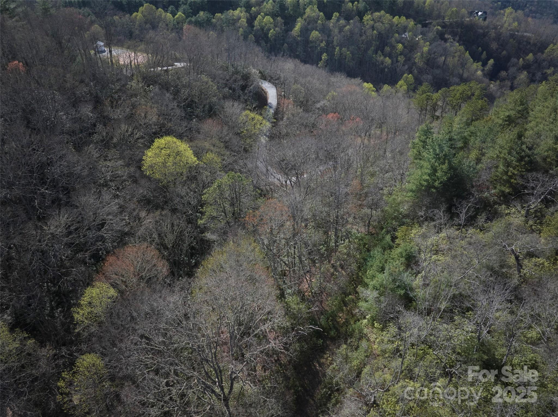 0 Conley Mountain Association Road - Photo 4