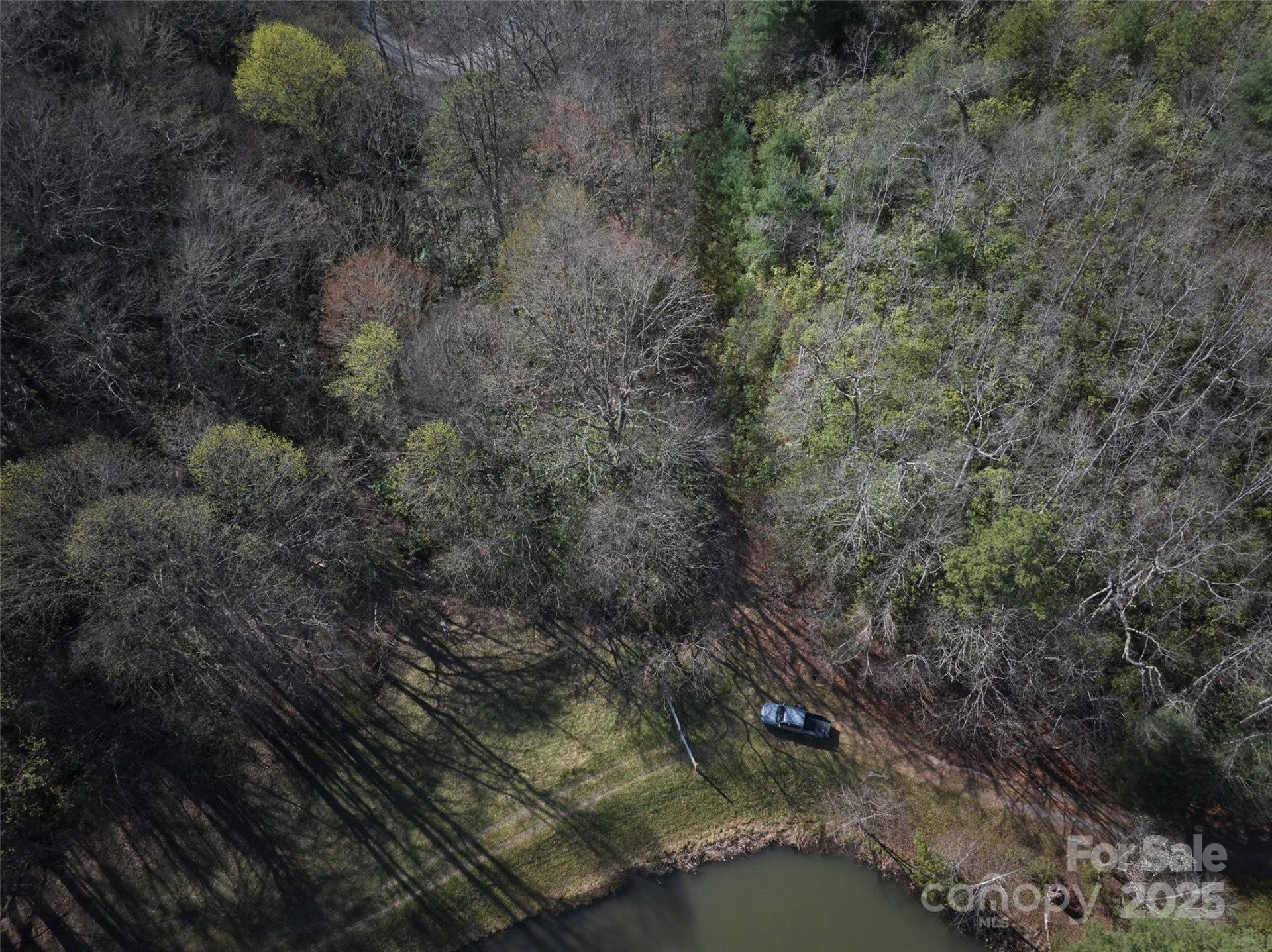 0 Conley Mountain Association Road - Photo 5