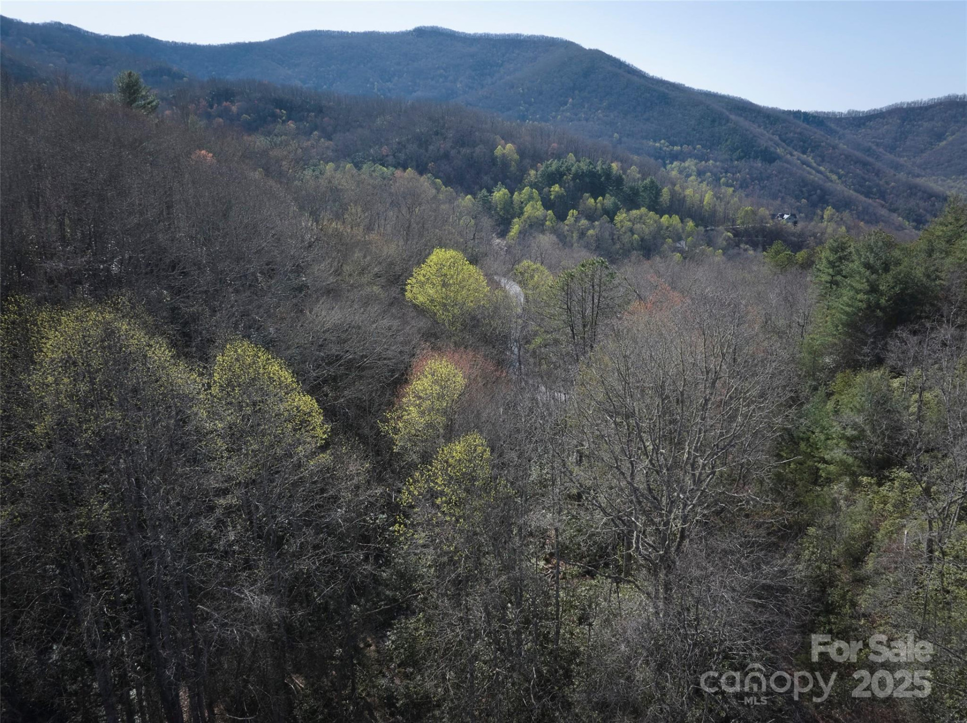 0 Conley Mountain Association Road - Photo 7