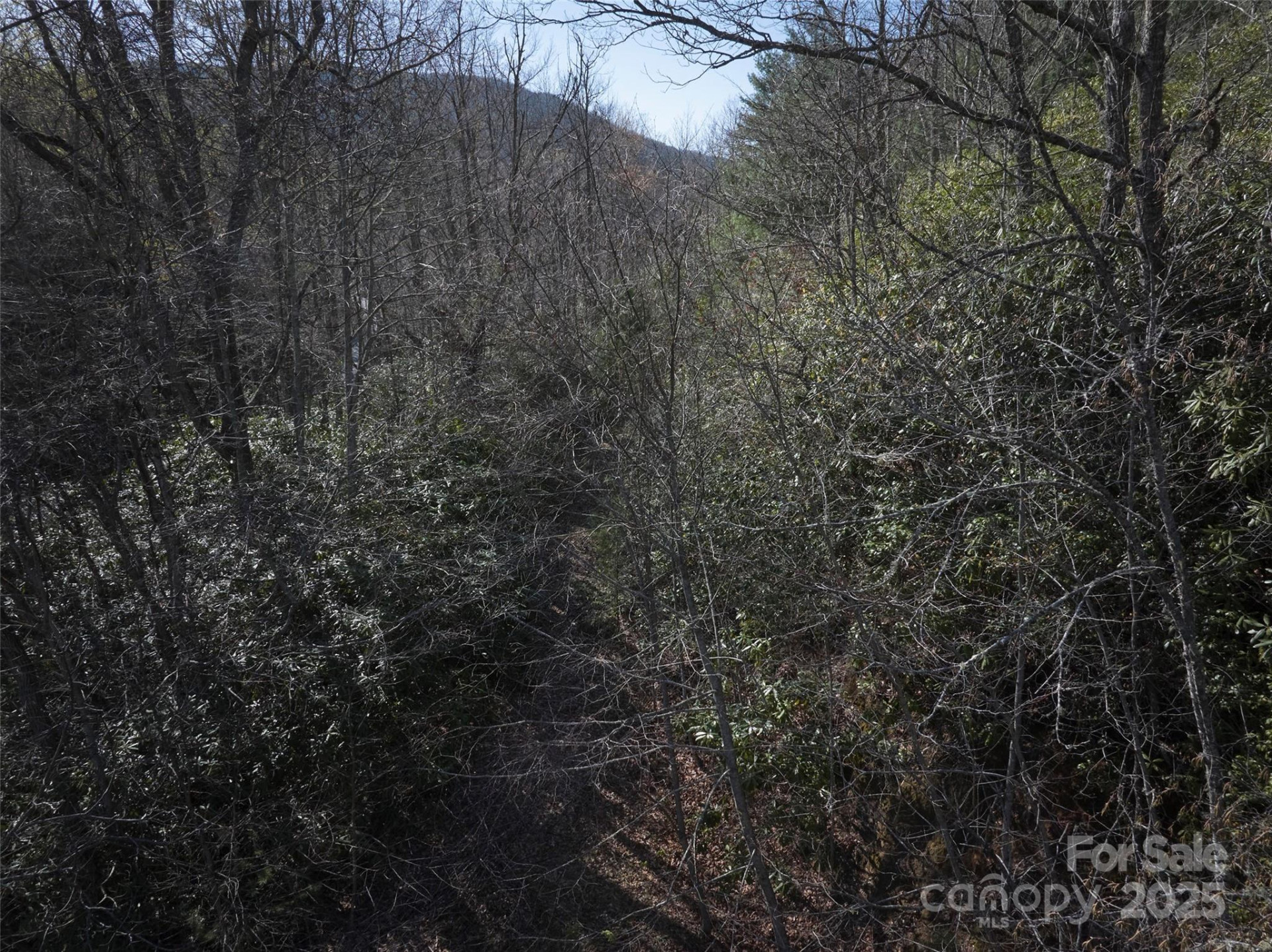 0 Conley Mountain Association Road - Photo 10