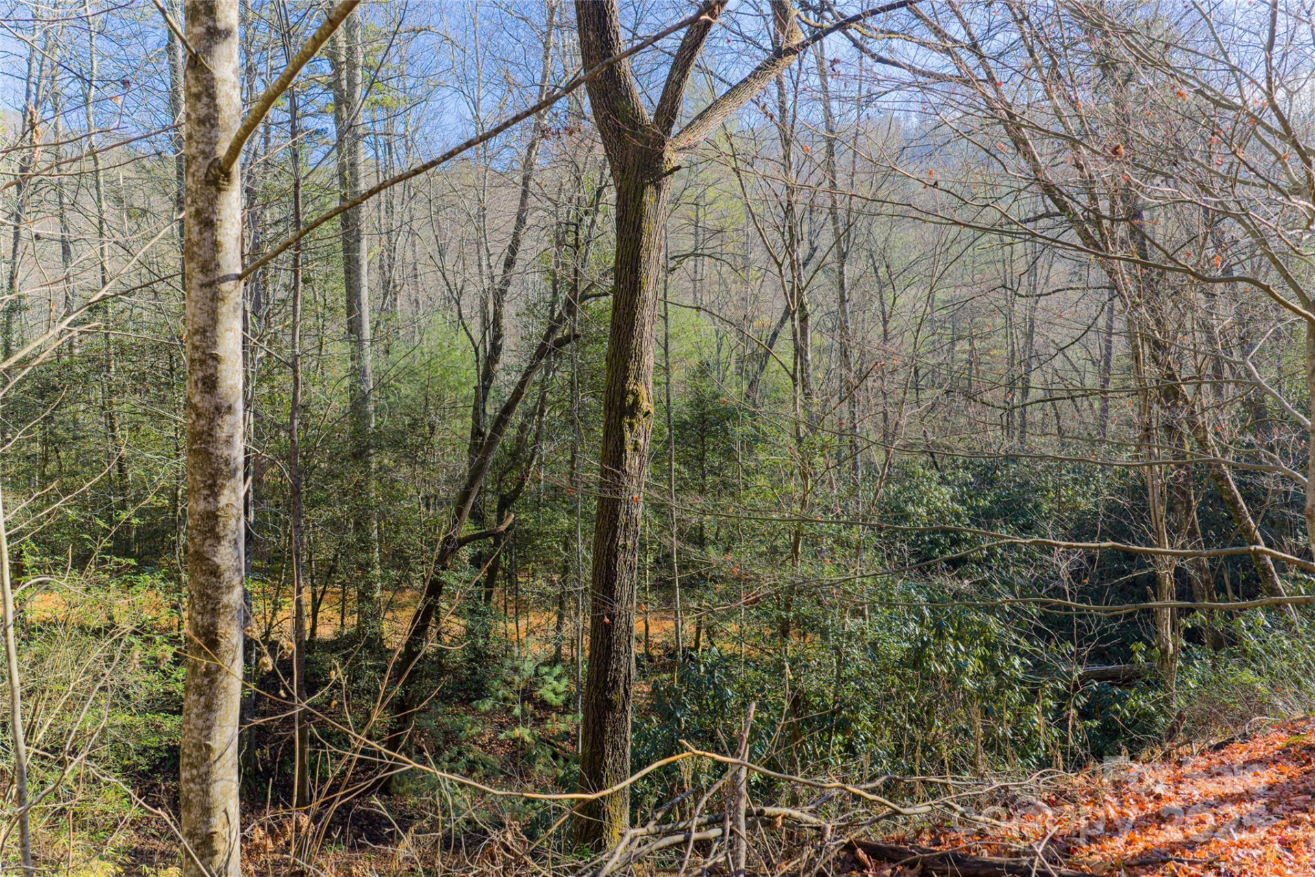 649 Old NC 280 Highway - Photo 11