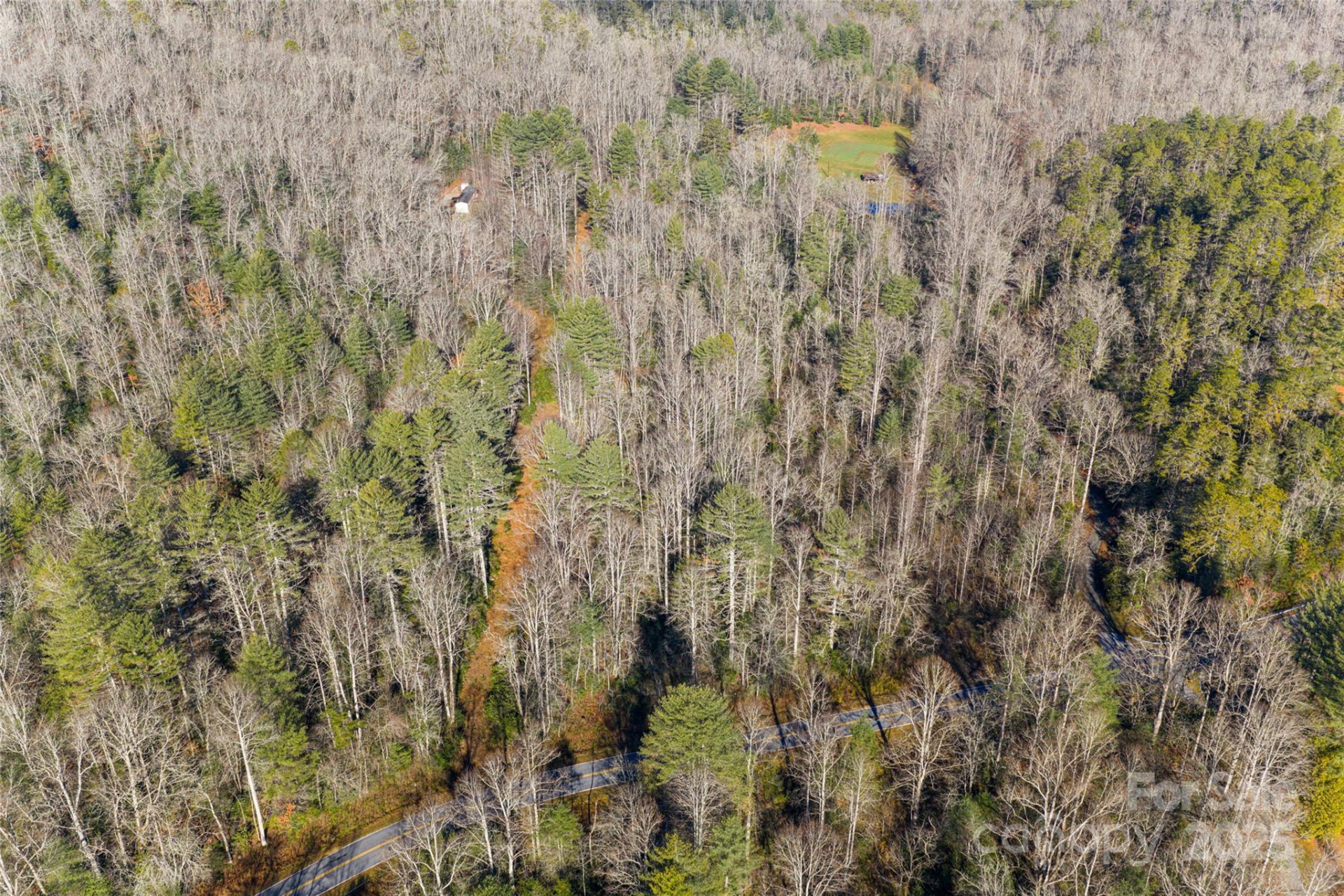 649 Old NC 280 Highway - Photo 12