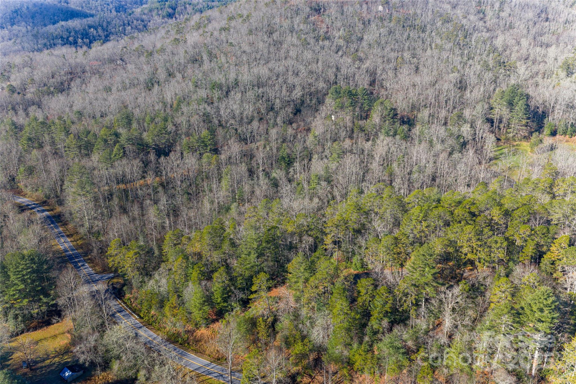 649 Old NC 280 Highway - Photo 16
