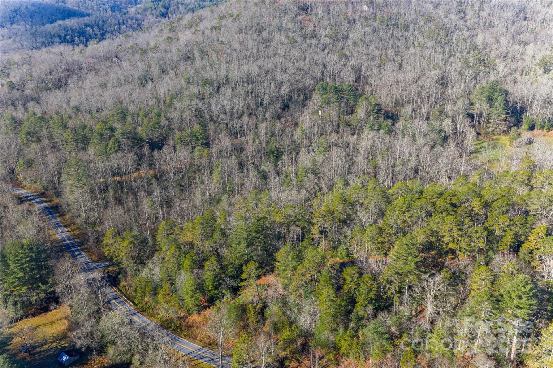 649 Old NC 280 Highway - Photo 16