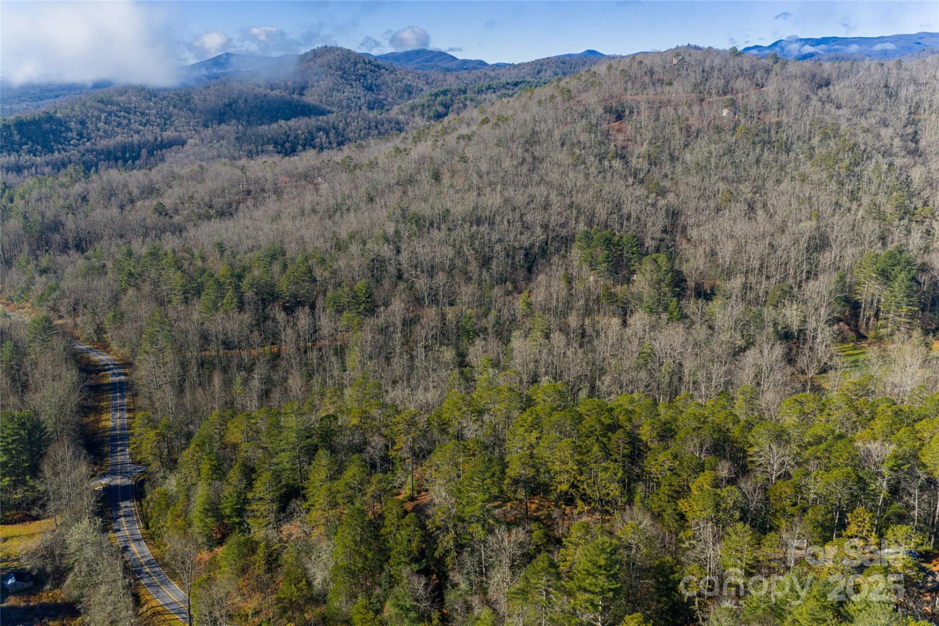 649 Old NC 280 Highway - Photo 17