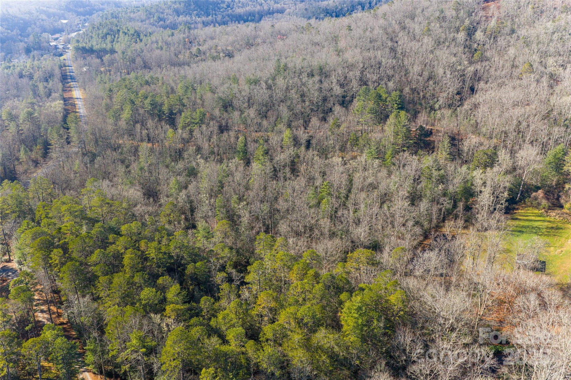 649 Old NC 280 Highway - Photo 18