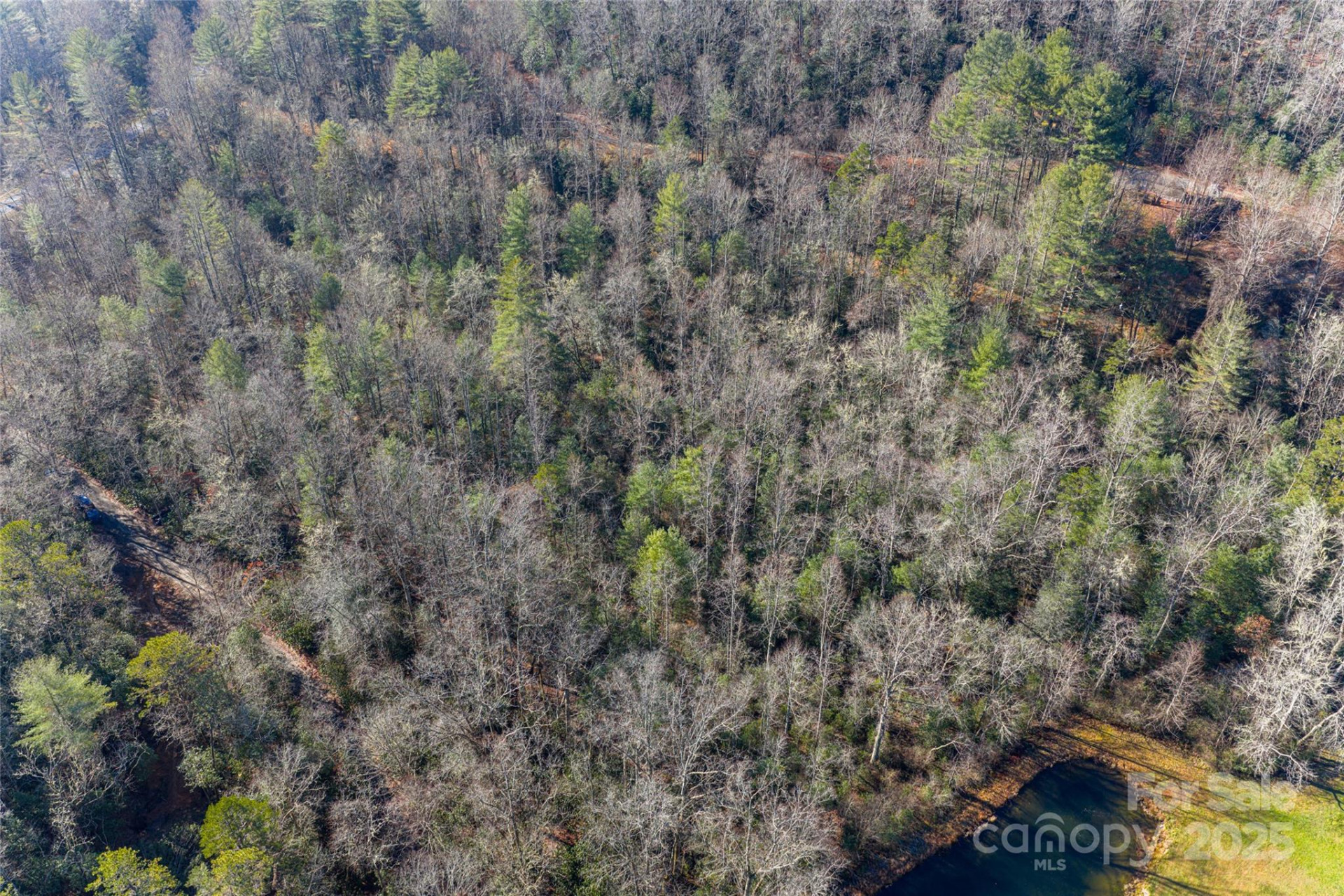 649 Old NC 280 Highway - Photo 20