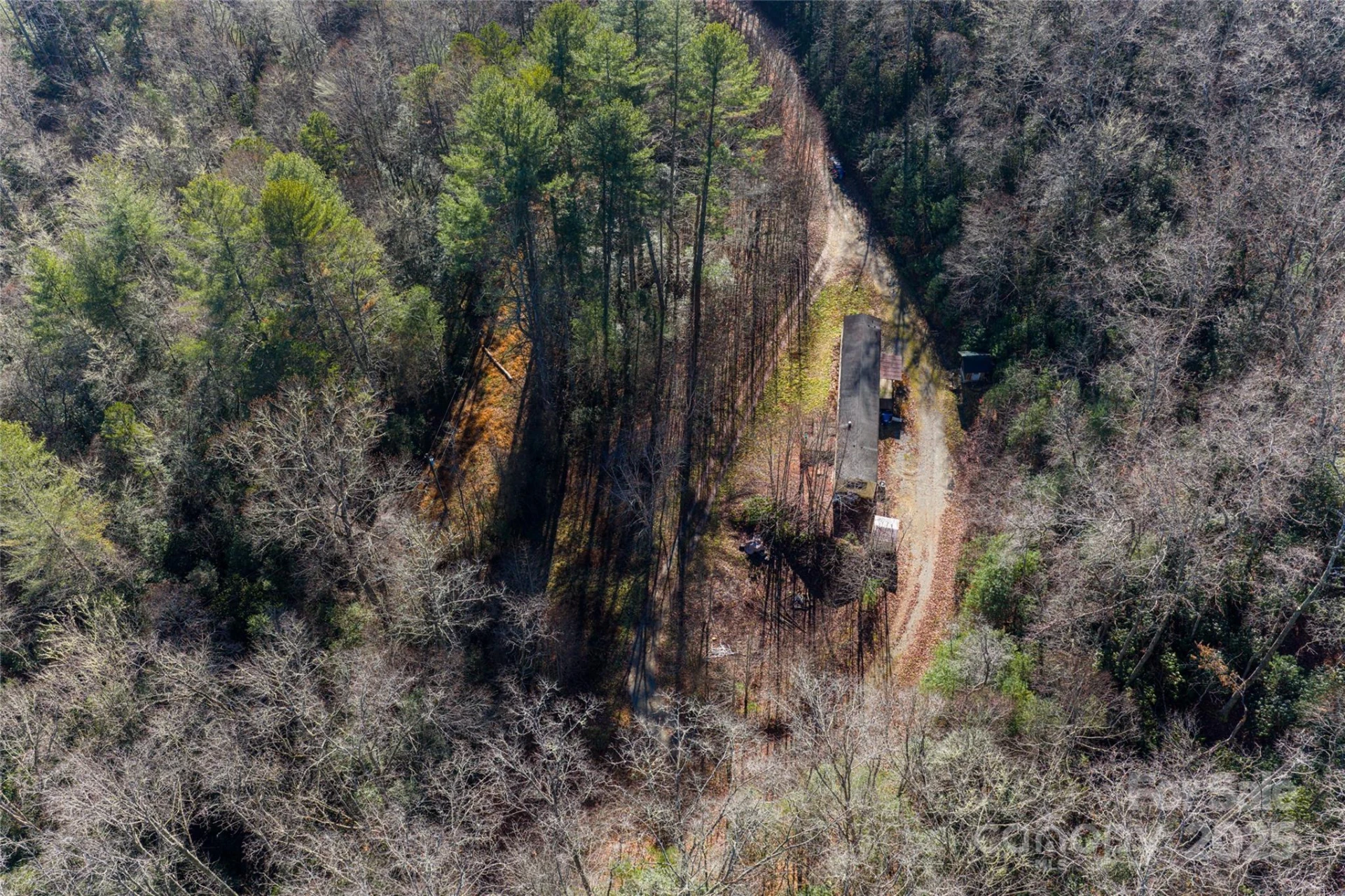 649 Old NC 280 Highway - Photo 3