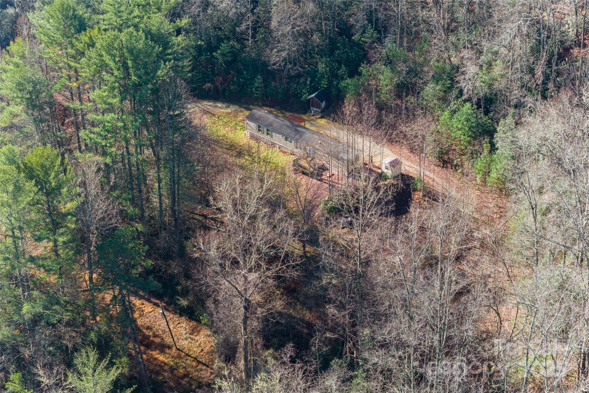 649 Old NC 280 Highway - Photo 21