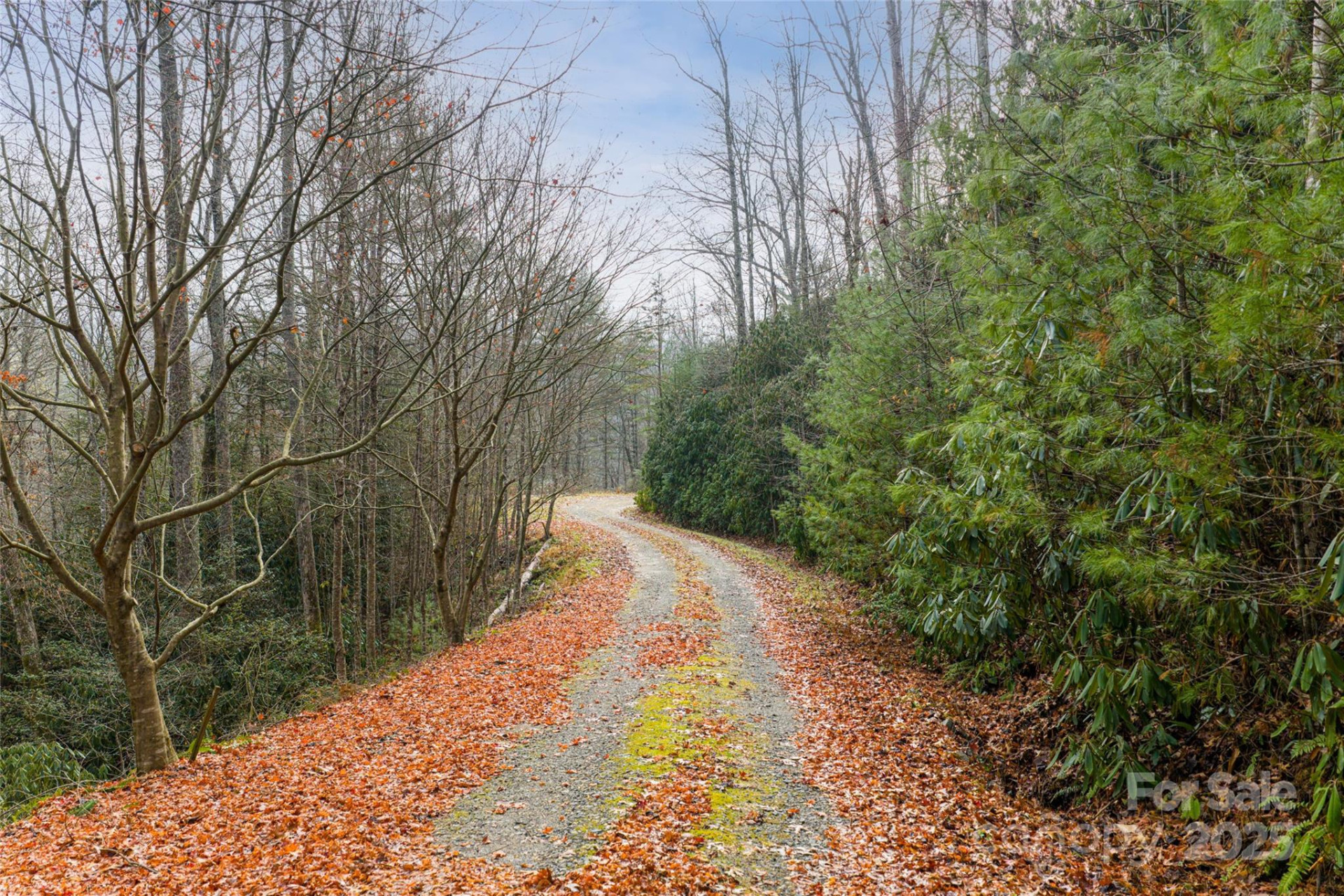 649 Old NC 280 Highway - Photo 6