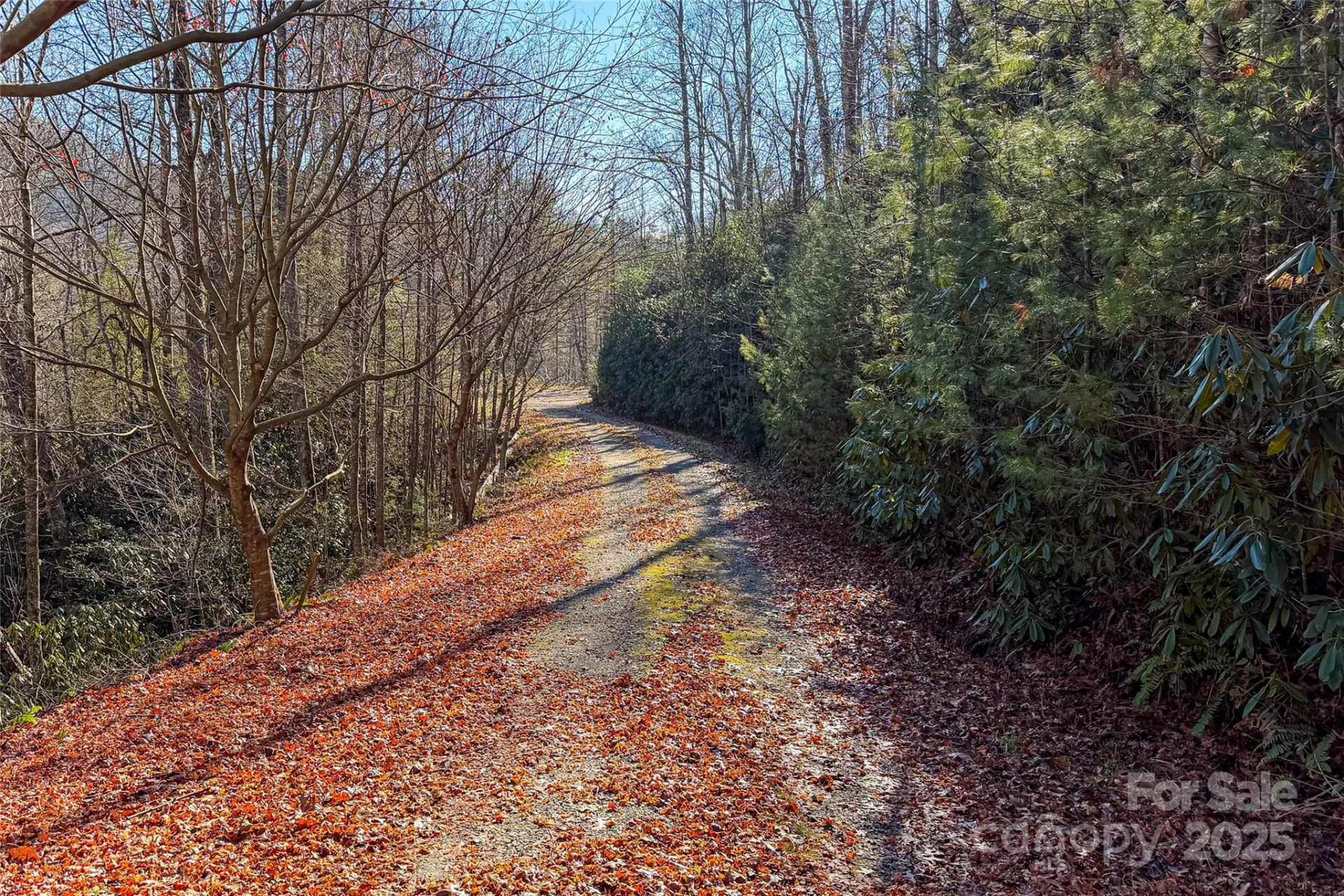 649 Old NC 280 Highway - Photo 7