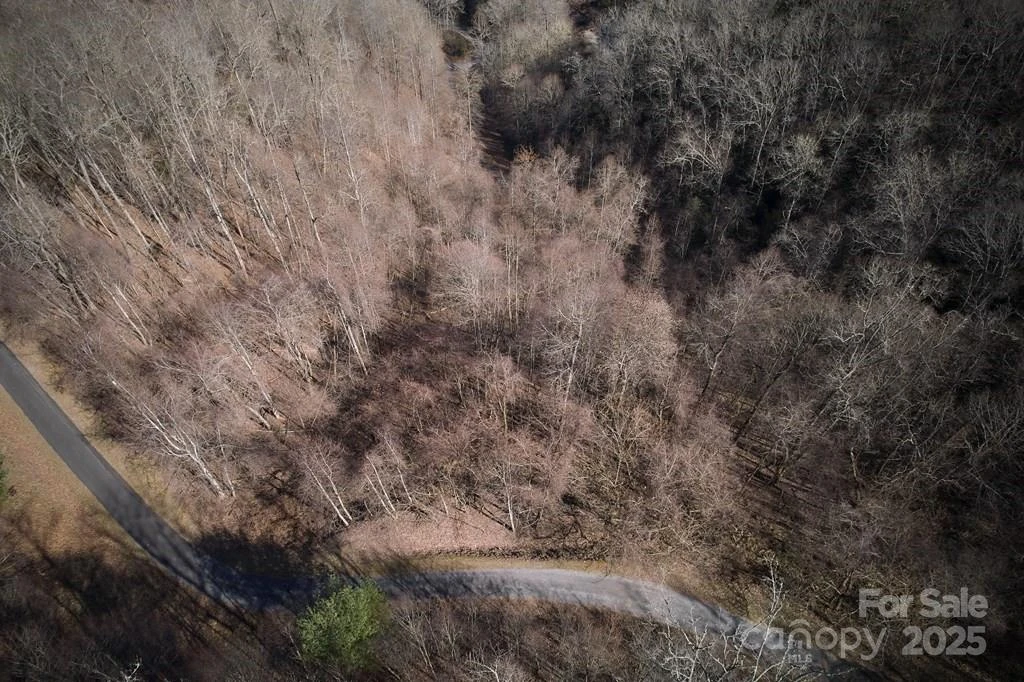 Lot 6A Freeman Overlook - Photo 2