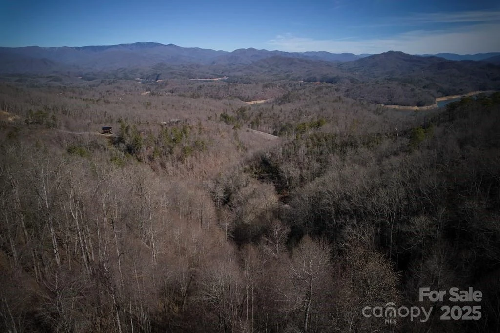 Lot 6A Freeman Overlook - Photo 3