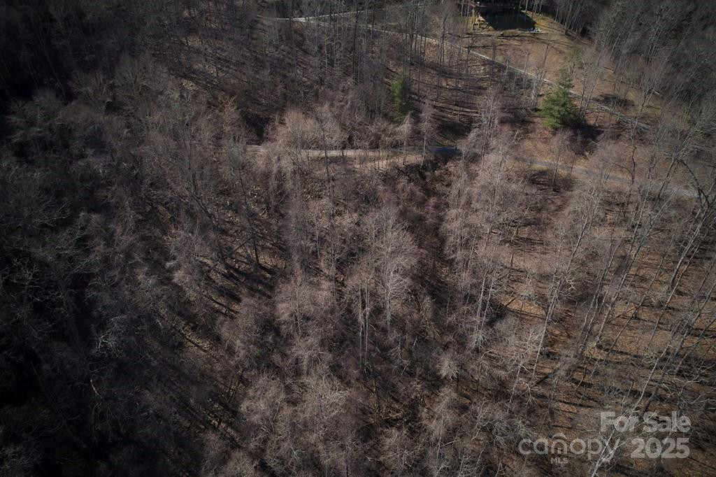 Lot 6A Freeman Overlook - Photo 4