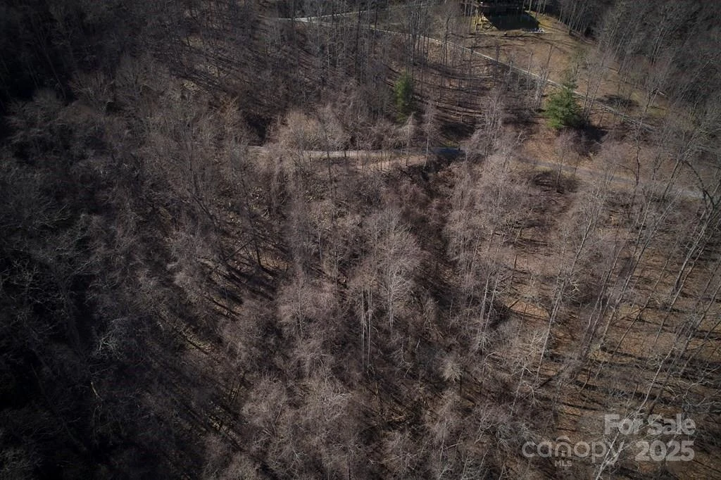 Lot 6A Freeman Overlook - Photo 4