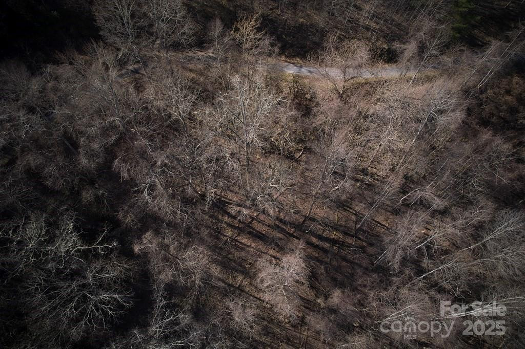 Lot 6A Freeman Overlook - Photo 5