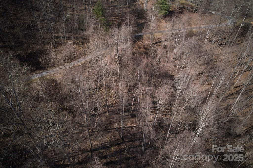 Lot 6A Freeman Overlook - Photo 6