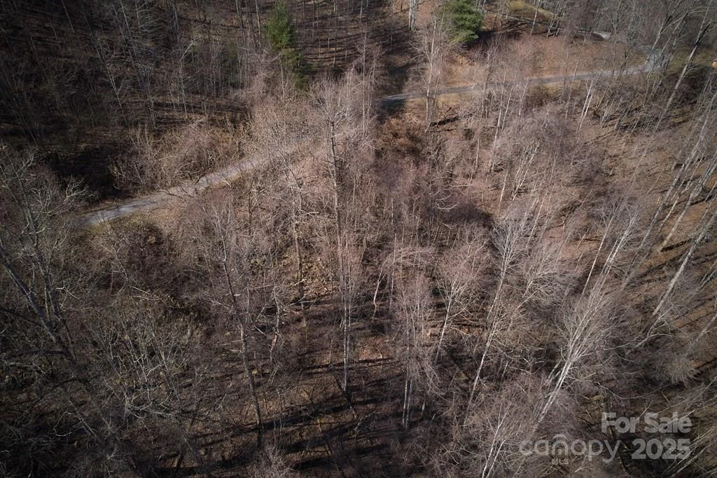 Lot 6A Freeman Overlook - Photo 6