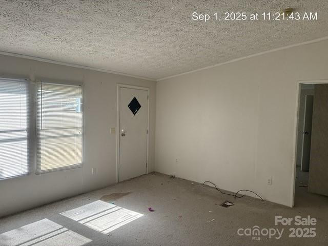 566 Plemmons Place - Photo 3