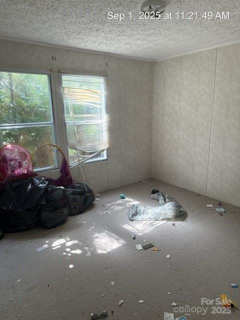 566 Plemmons Place - Photo 4