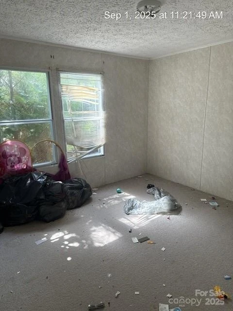 566 Plemmons Place - Photo 4