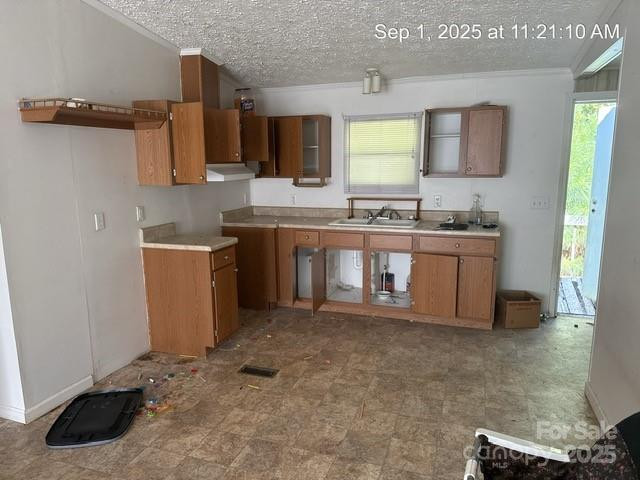 566 Plemmons Place - Photo 5