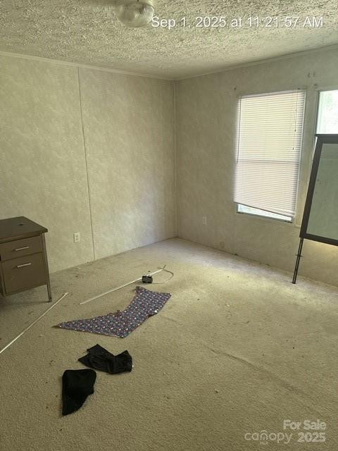 566 Plemmons Place - Photo 6