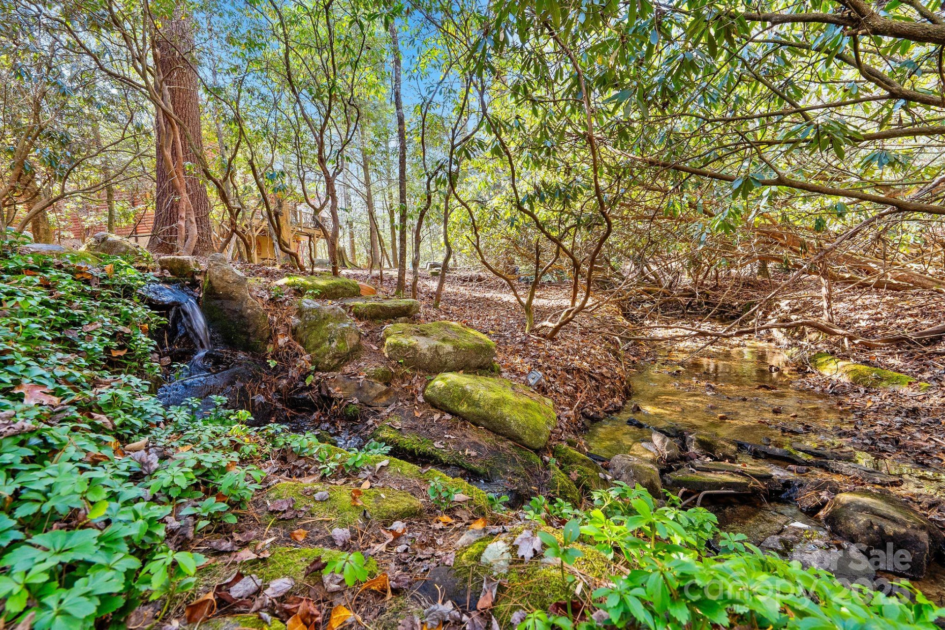 1012 Soquili Drive - Photo 45