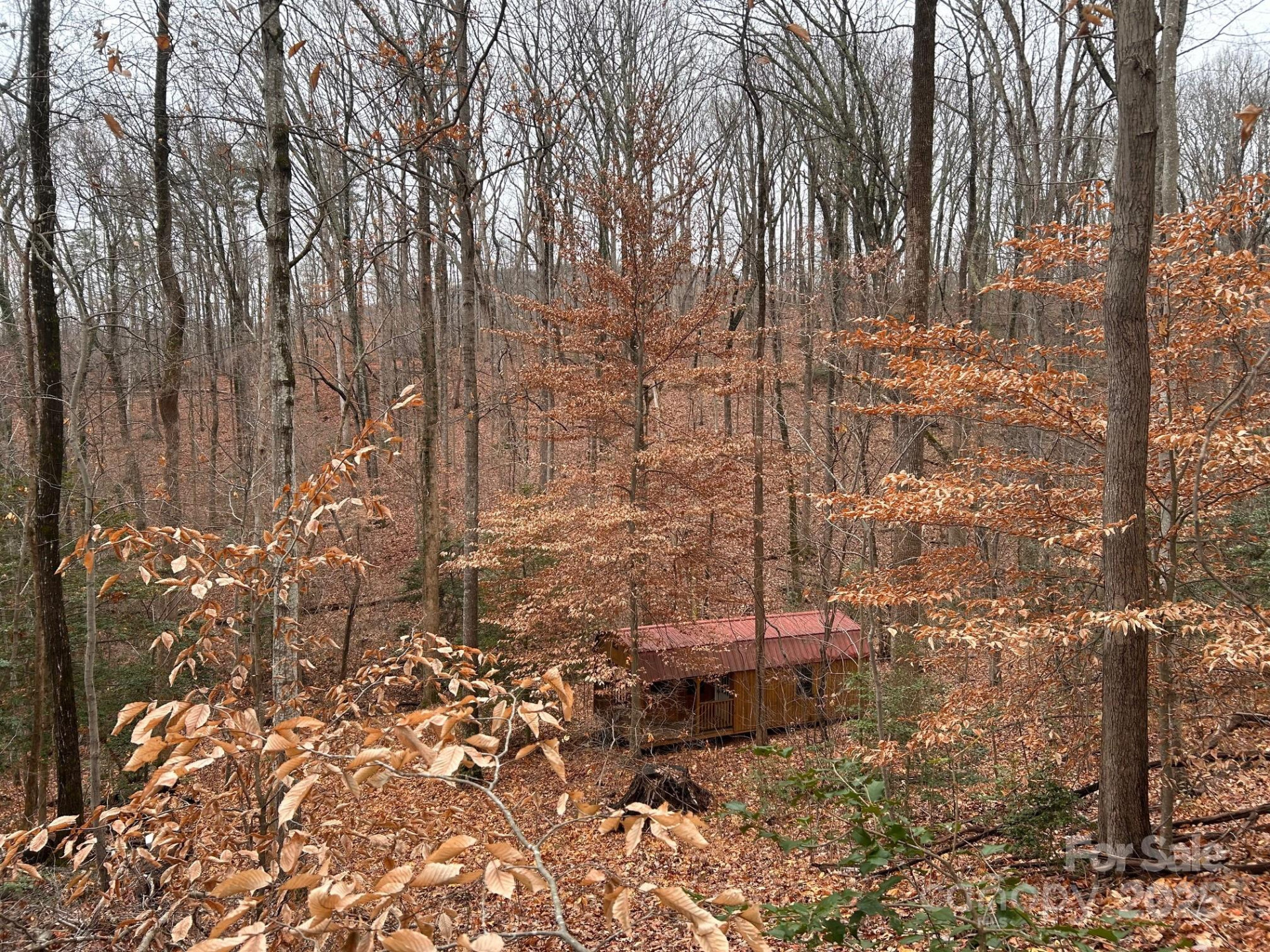 629 Vineyard Road - Photo 7