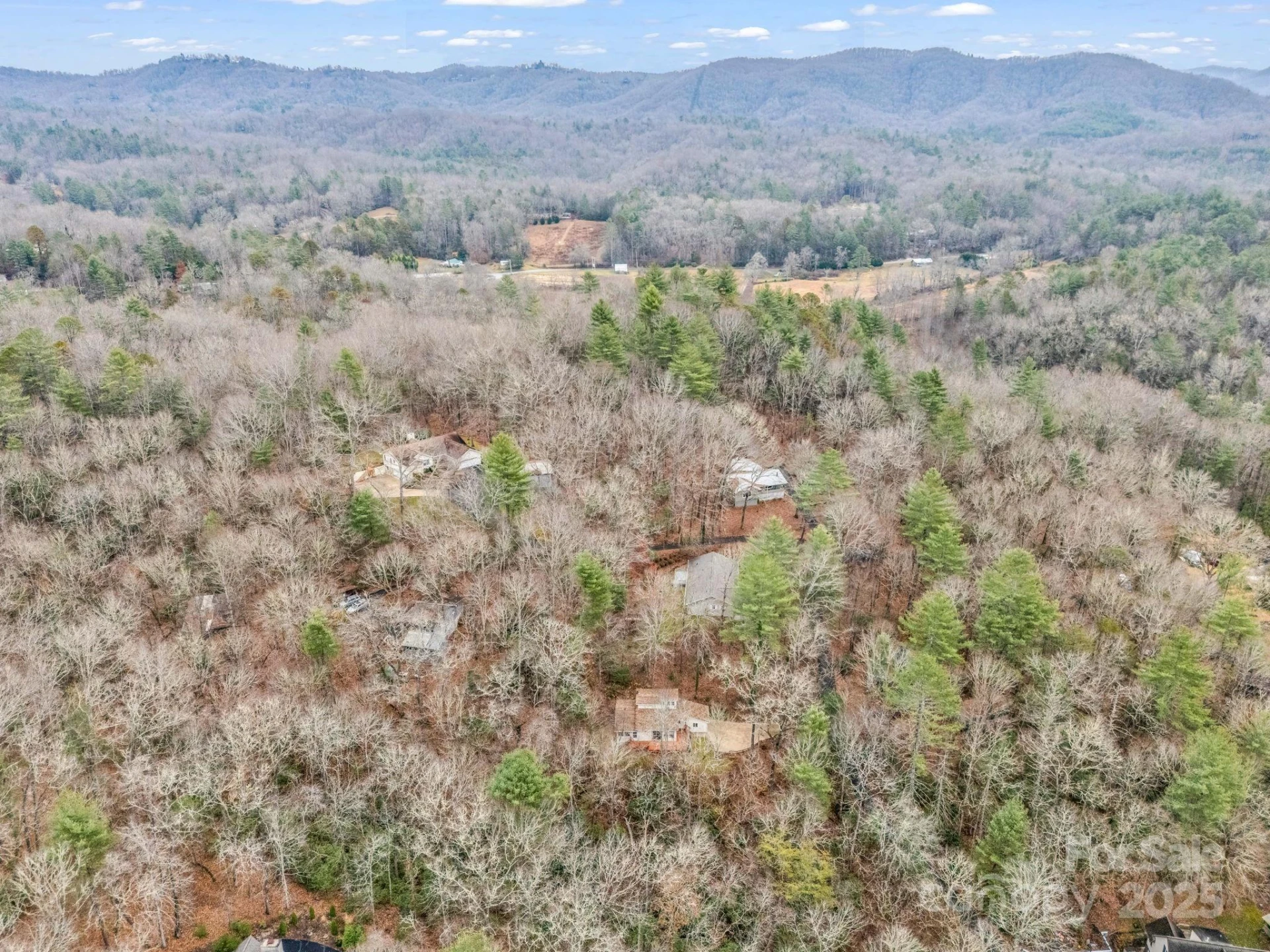 38 Renea Drive - Photo 36