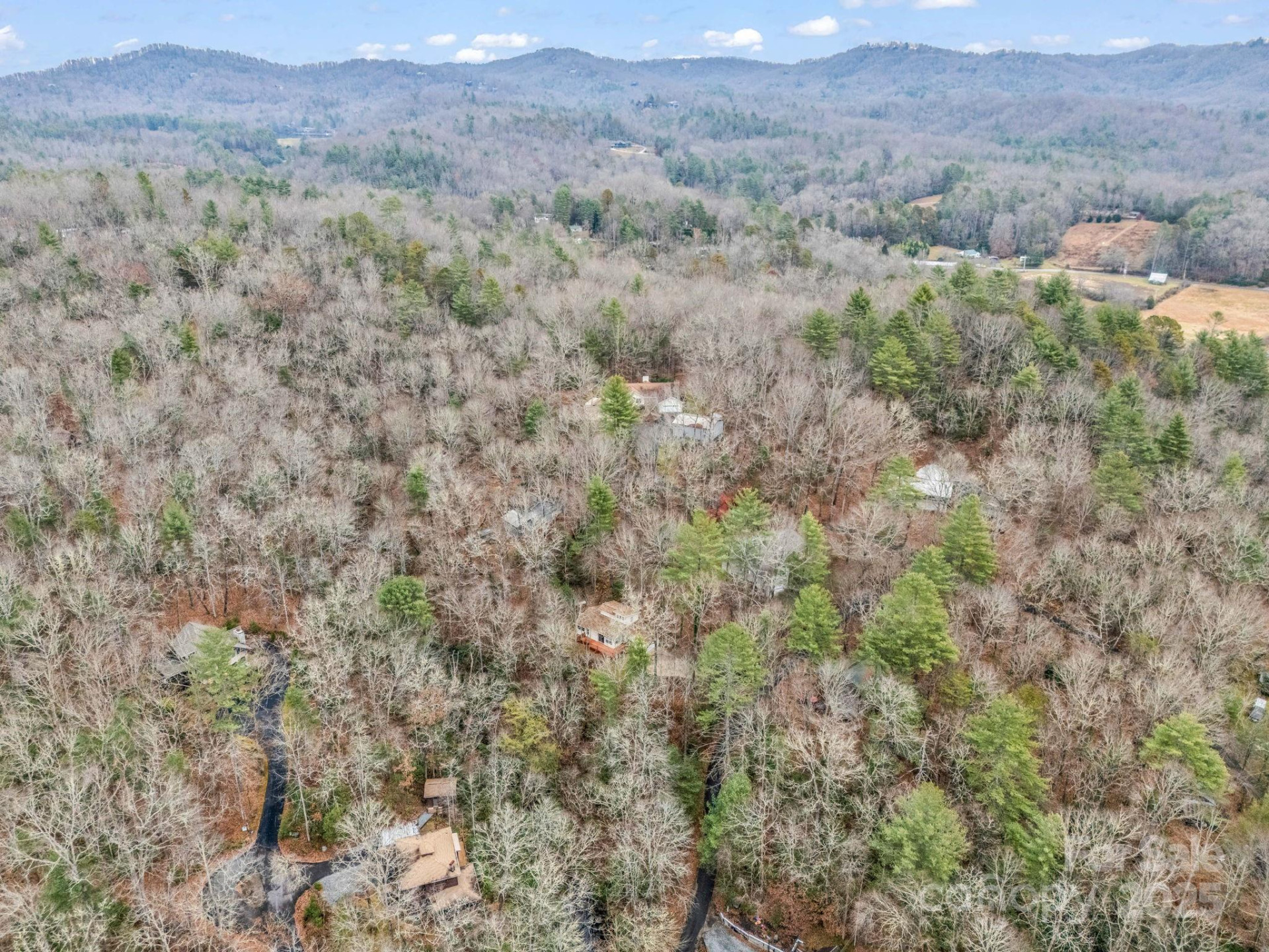 38 Renea Drive - Photo 37