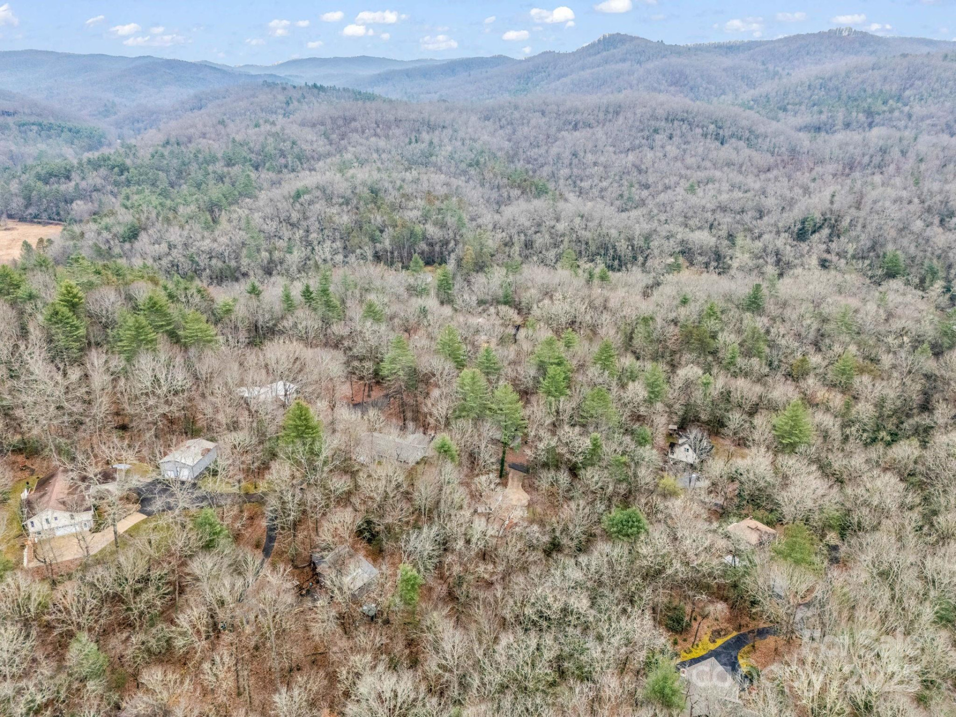 38 Renea Drive - Photo 40