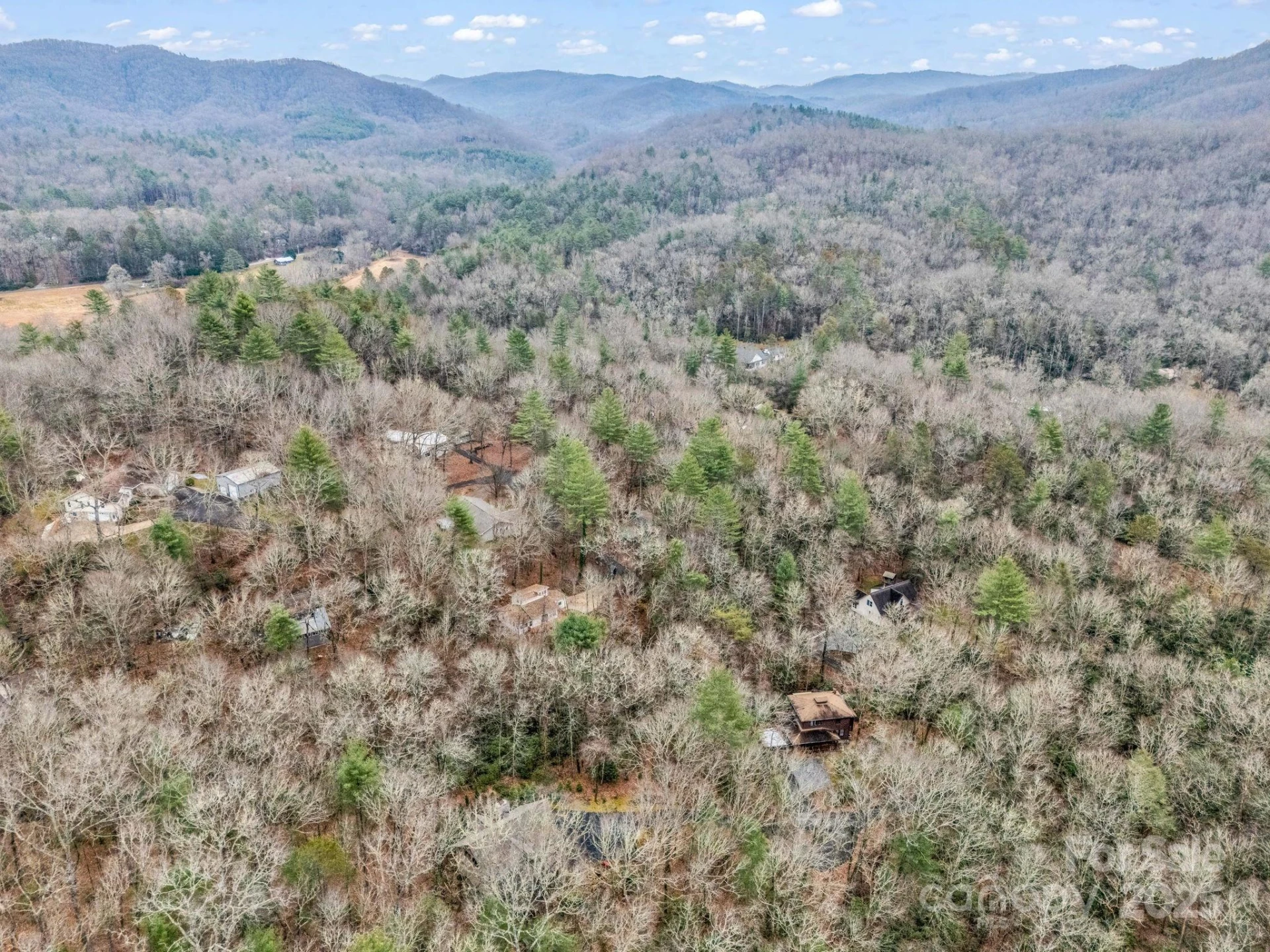 38 Renea Drive - Photo 41