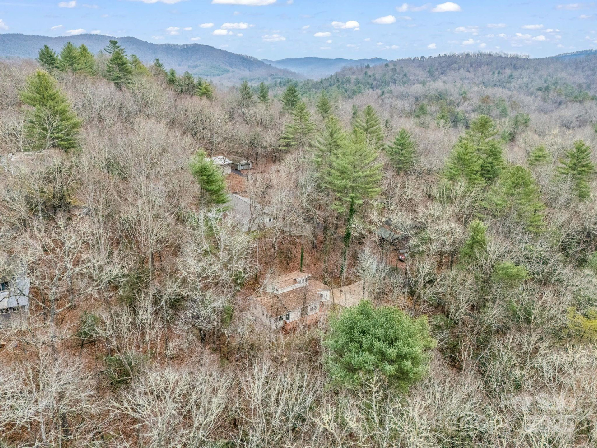 38 Renea Drive - Photo 42