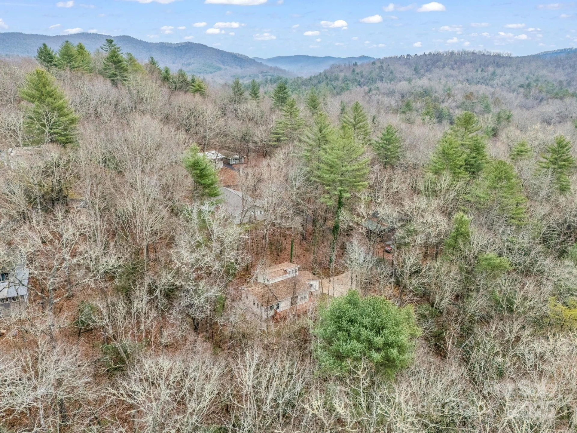 38 Renea Drive - Photo 42