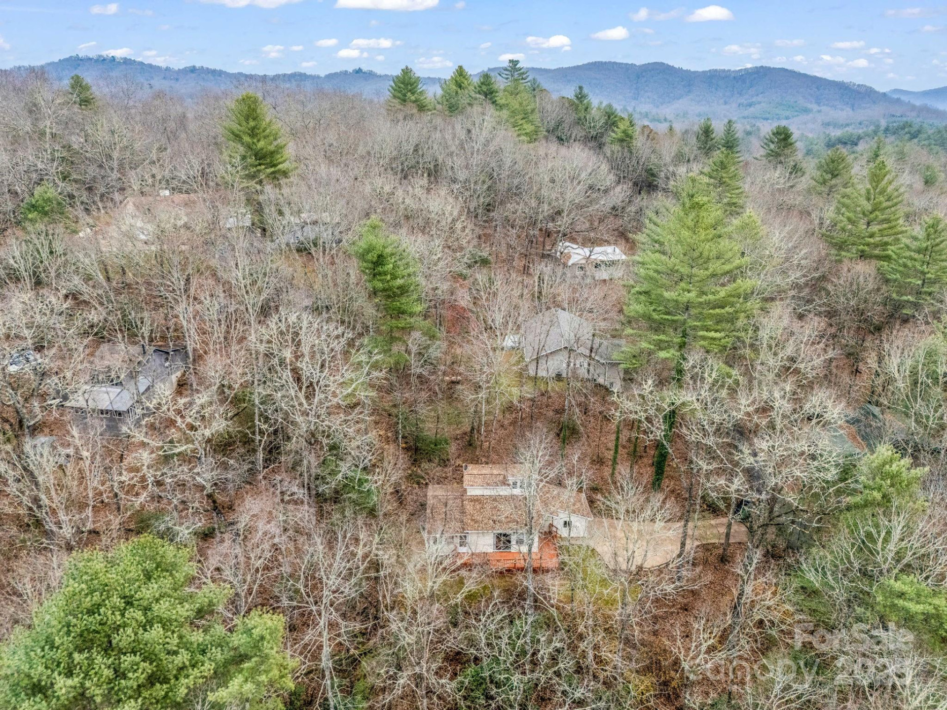 38 Renea Drive - Photo 43