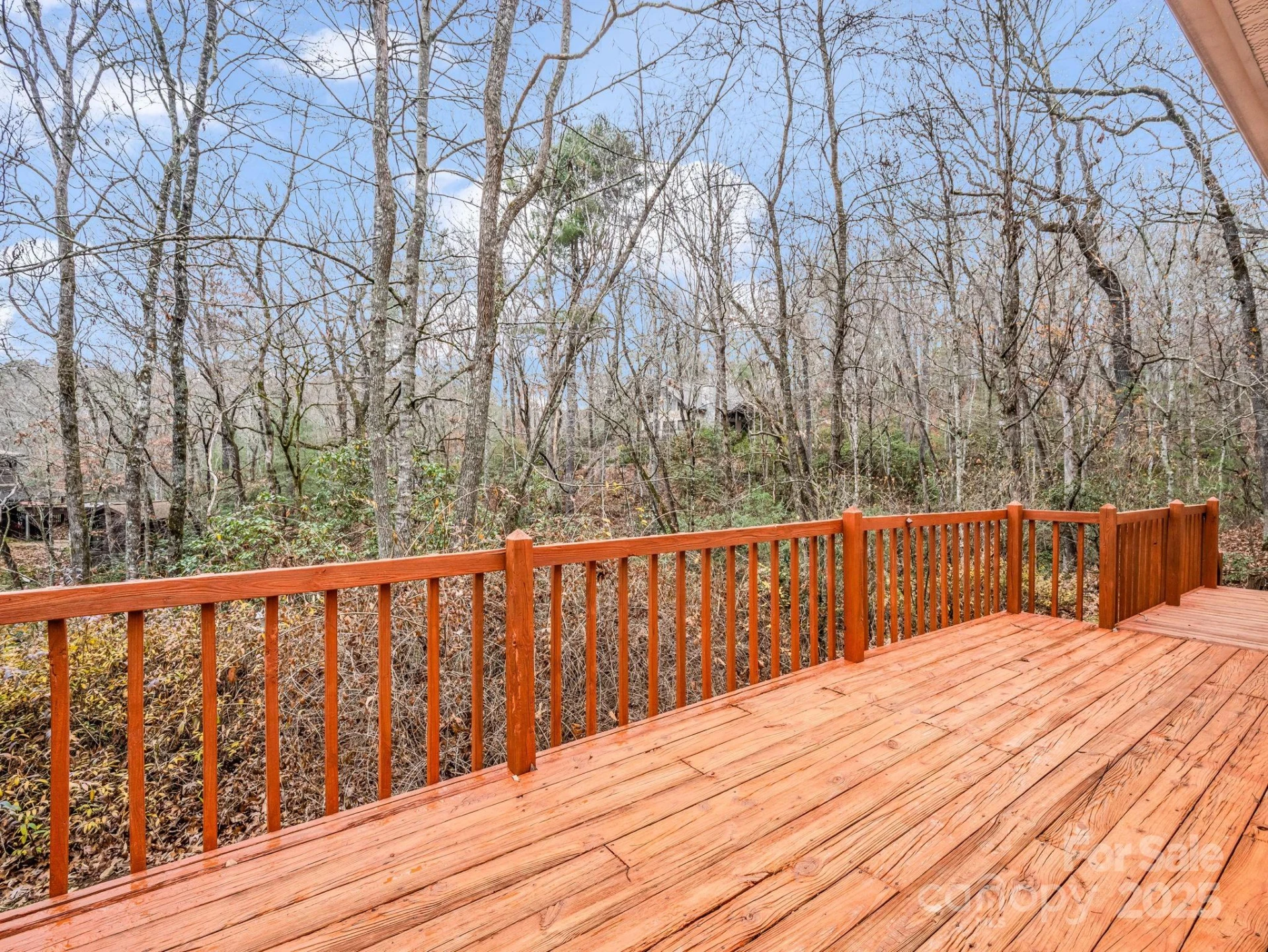 38 Renea Drive - Photo 8