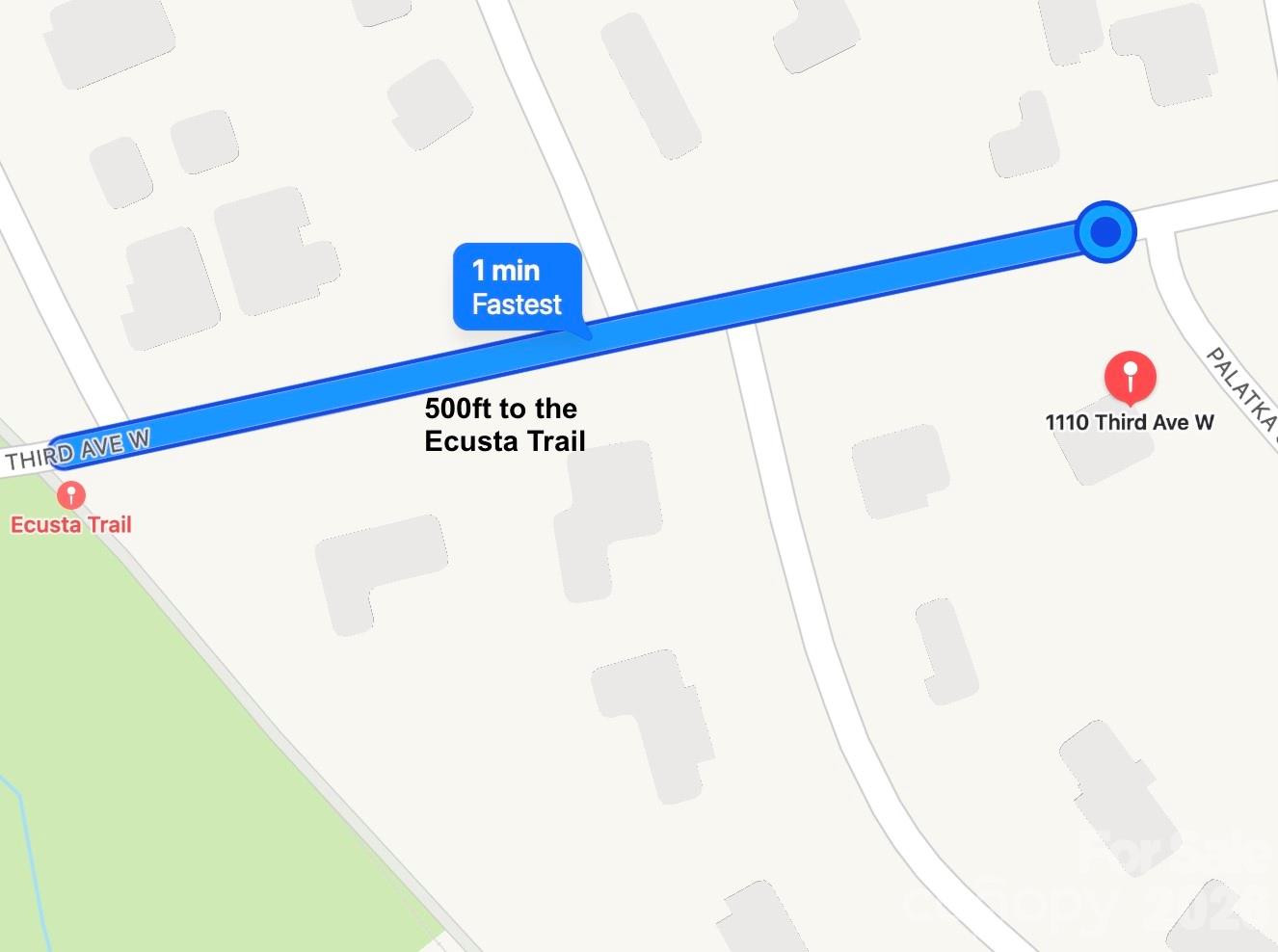 1110 3rd Avenue #multiple - Photo 4