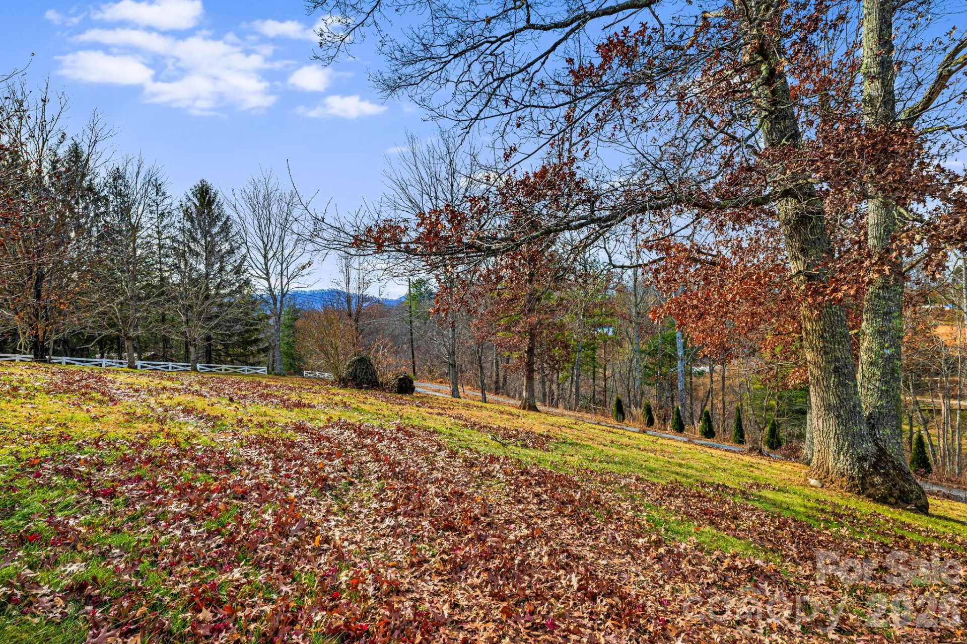 197 Roland Hill Road - Photo 22