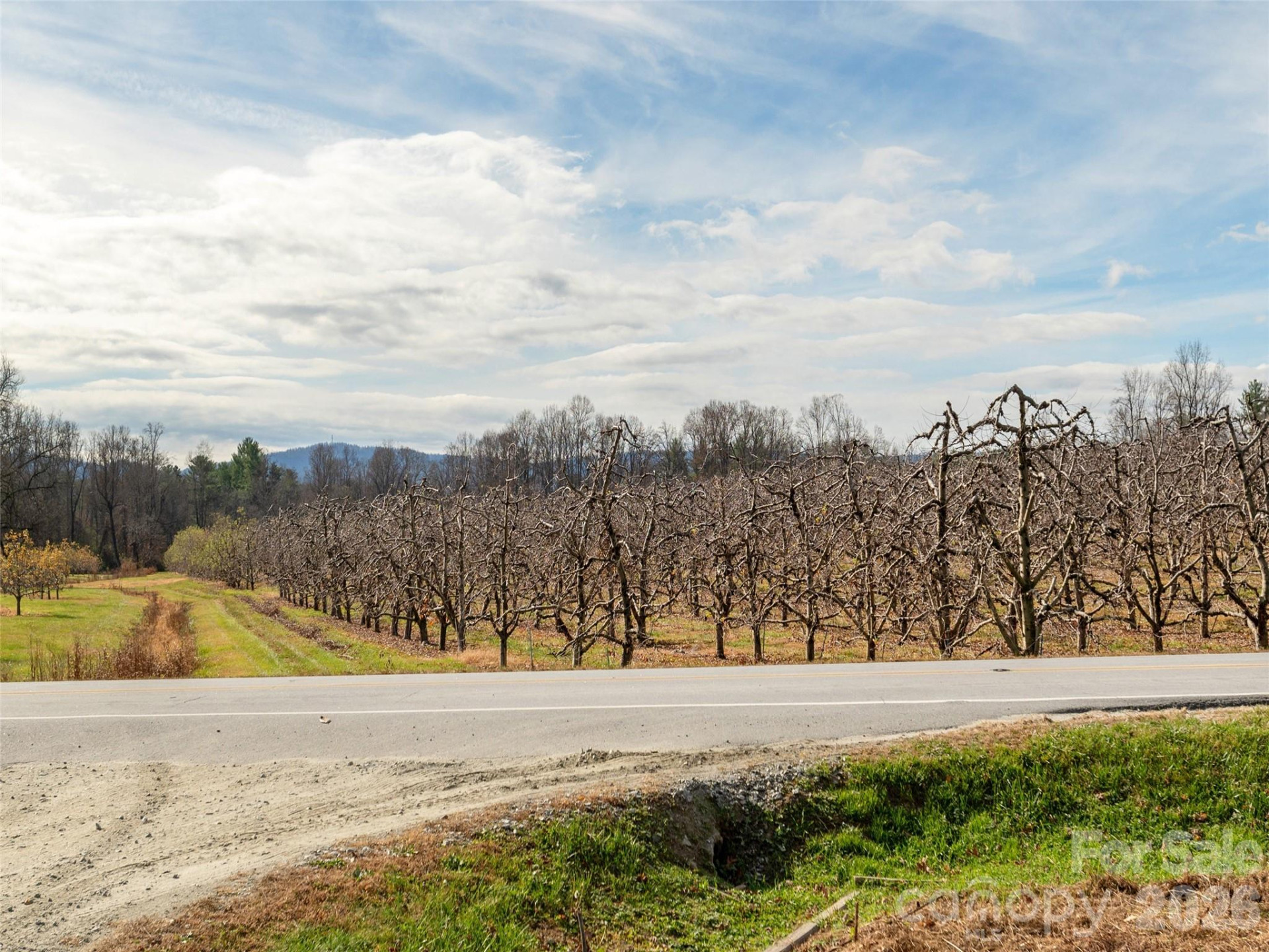 5057 Howard Gap Road - Photo 25