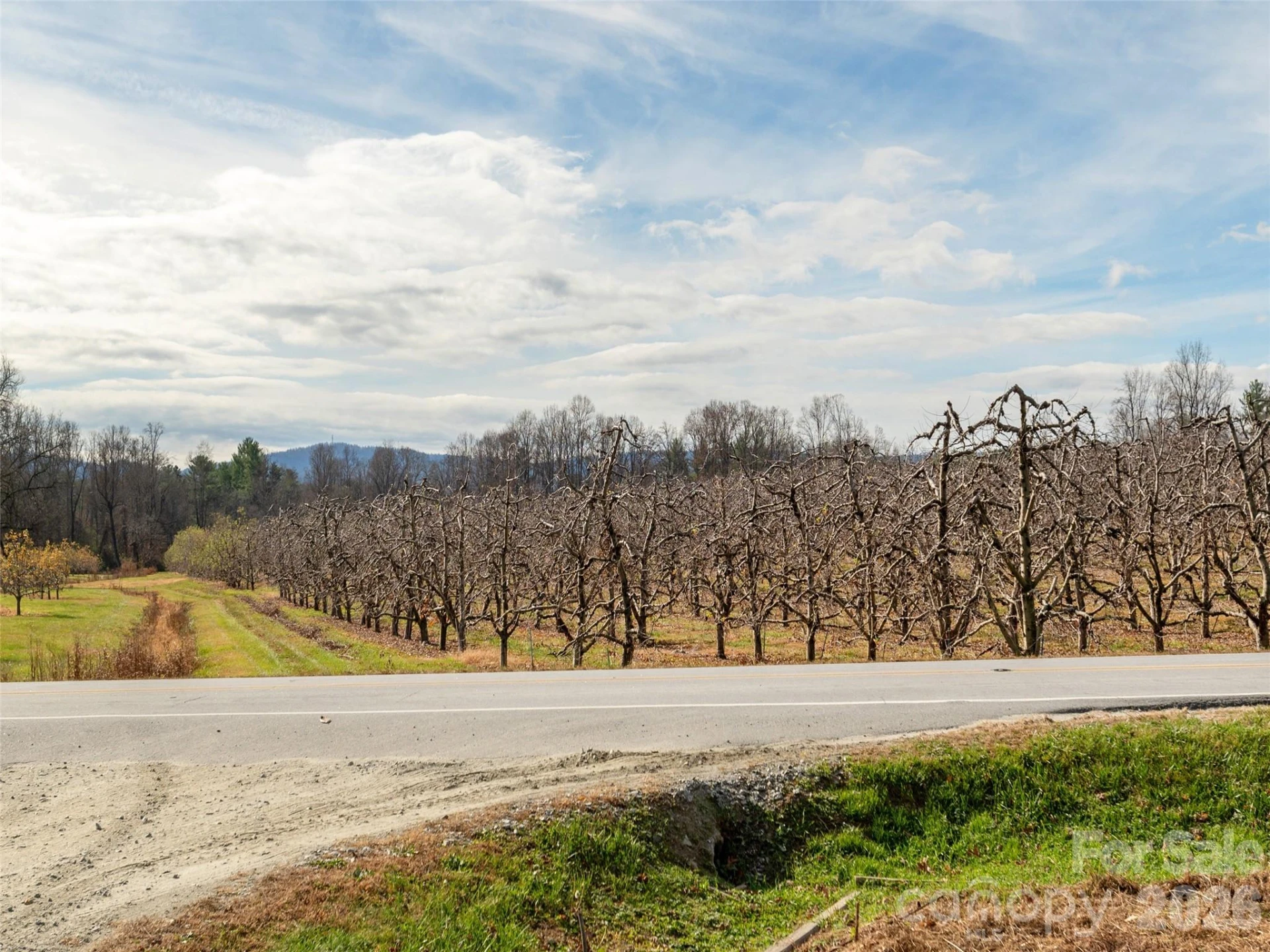 5057 Howard Gap Road - Photo 25
