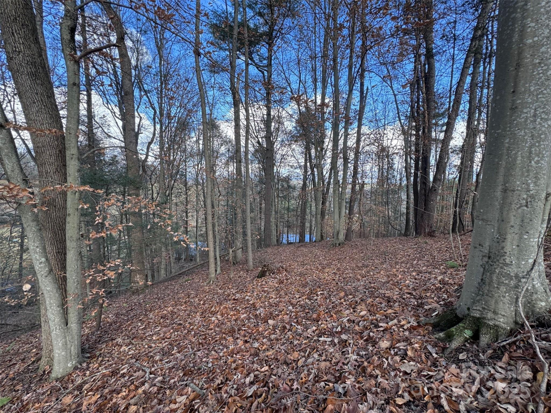55 & 119 Webb Drive - Photo 16