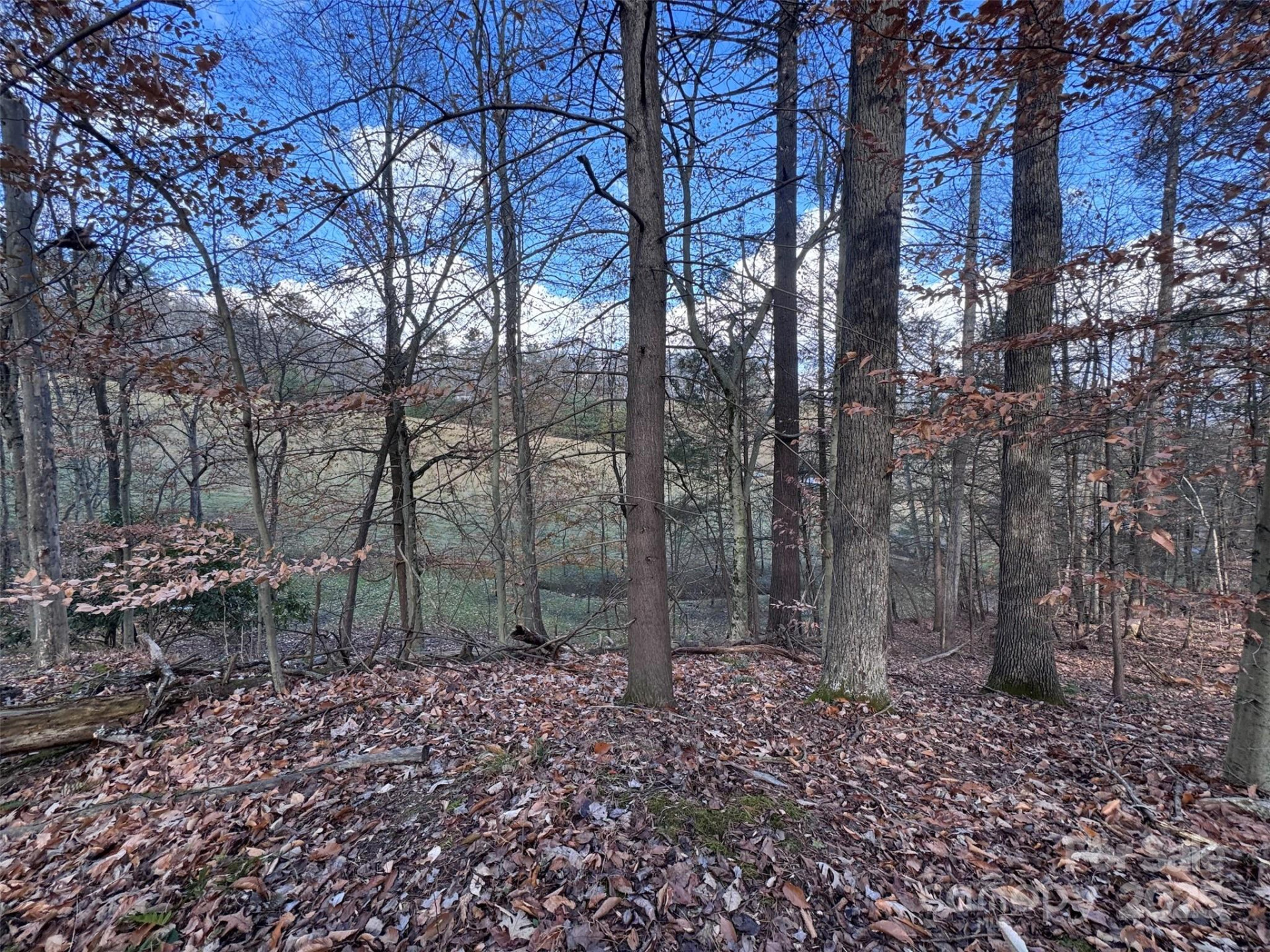 55 & 119 Webb Drive - Photo 17